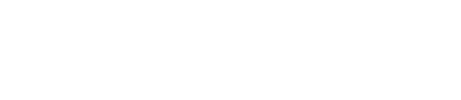 NV Trader Pro